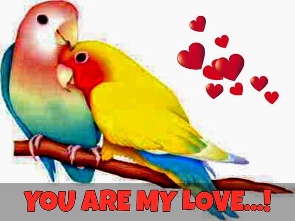 Love Love