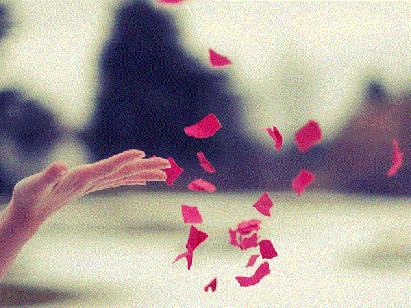 Where is my love Where is my love