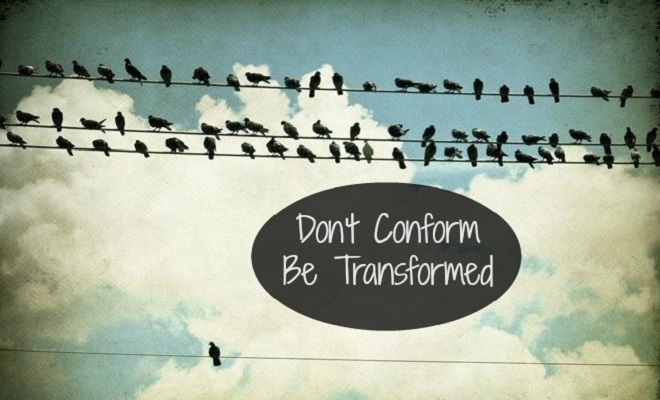 dont-conform dont-conform