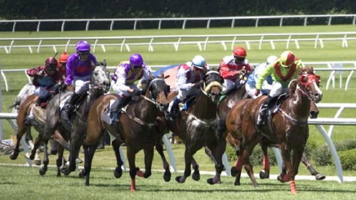 horse-racing horse-racing