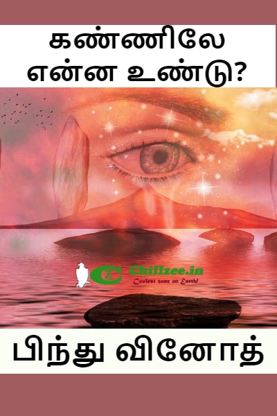 சிறுகதை - கண்ணிலே என்ன உண்டு? - பிந்து வினோத்