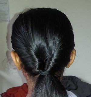Butterfly PonyTail Butterfly PonyTail