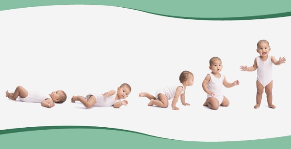 Baby growth Baby growth