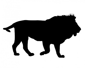 Lion Lion