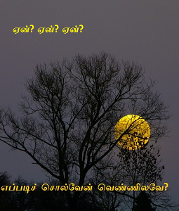 Eppadi solven vennilave Eppadi solven vennilave