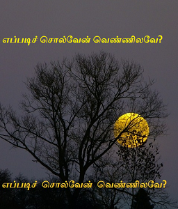 Eppadi solven vennilave