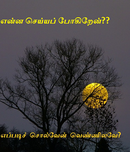 Eppadi solven vennilave