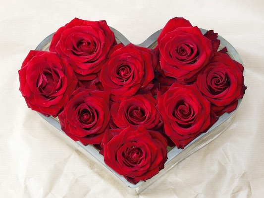 Heart Heart