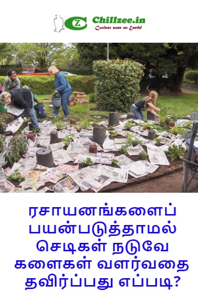 தோட்டக்  குறிப்புகள் - ரசாயனங்களைப் பயன்படுத்தாமல் செடிகள் நடுவே களைகள் வளர்வதை தவிர்ப்பது எப்படி?