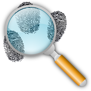investigation