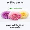 Oru veedu iru vaasal