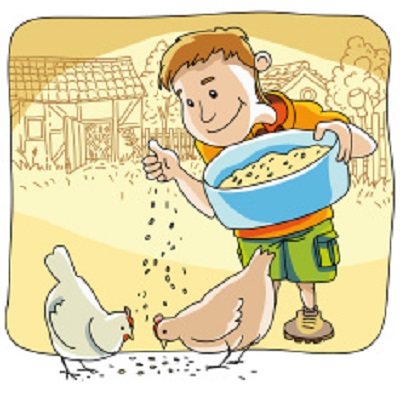 Farmer Farmer
