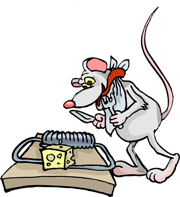 mousetrap mousetrap