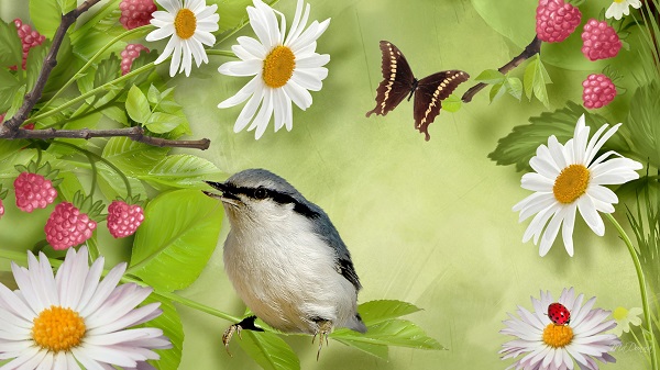 Nature