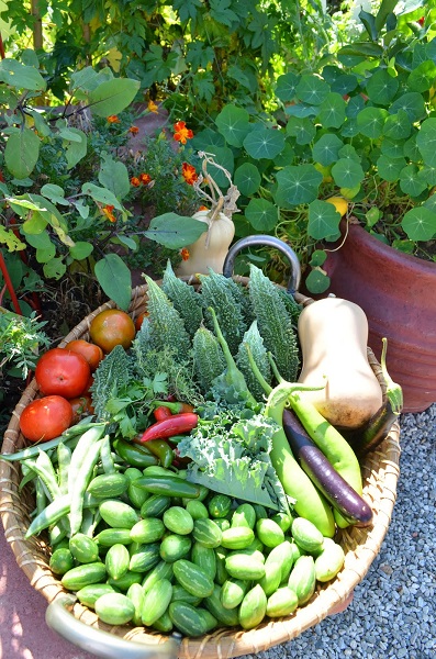 Veg Friends