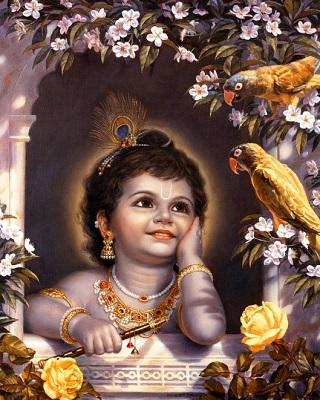 Krishna Jayanthi