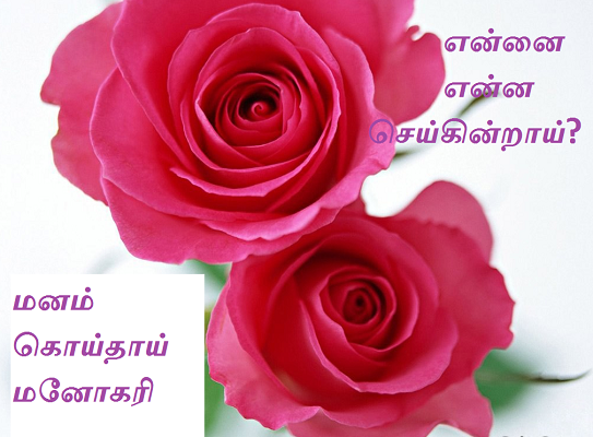 MKM MKM