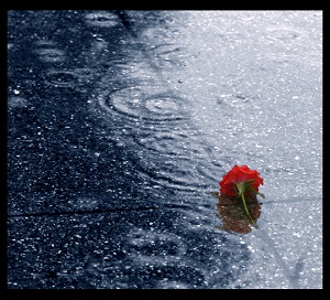 Rain love