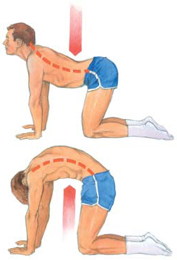hump and hollow hump and hollow