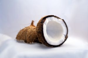 Coconut Coconut