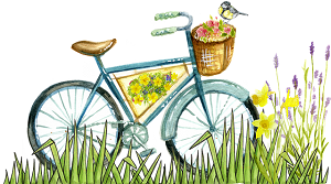Cycle