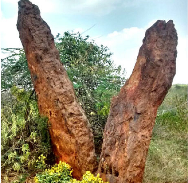 lovers stone lovers stone