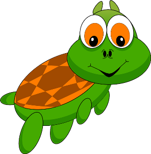 Tortoise