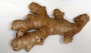 Ginger