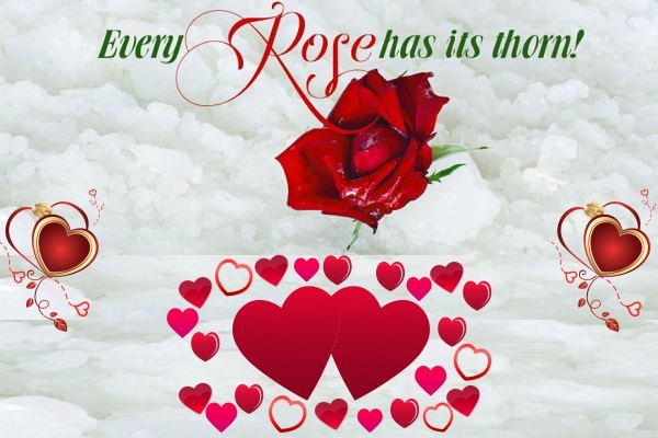 Rose and Thorn