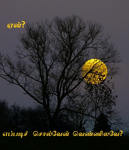Eppadi solven vennilave