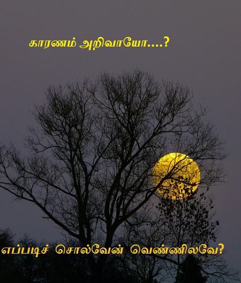 Eppadi solven vennilave