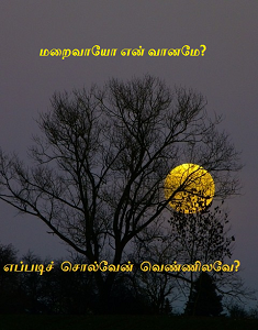 Eppadi solven vennilave