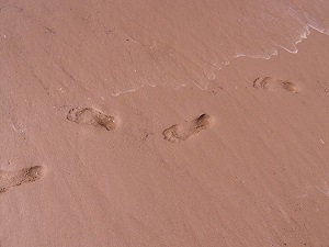 footprints