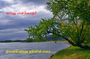 Nanaikindrathu nathiyin karai