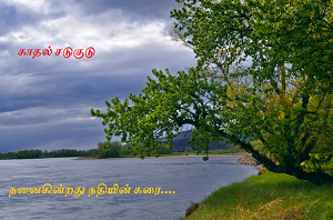 Nanaikindrathu nathiyin karai