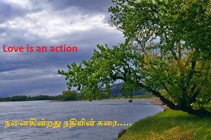 Nanaikindrathu nathiyin karai - 16