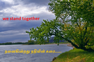 nanaikindrathu nathiyin karai
