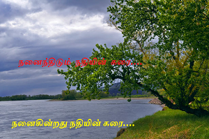 Nanaikindrathu nathiyin karai