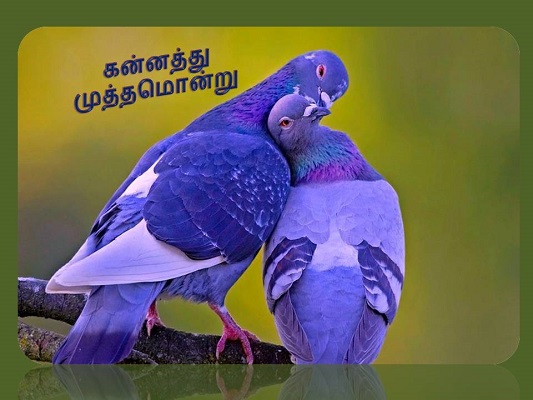 Kannathil muthamondru Kannathil muthamondru