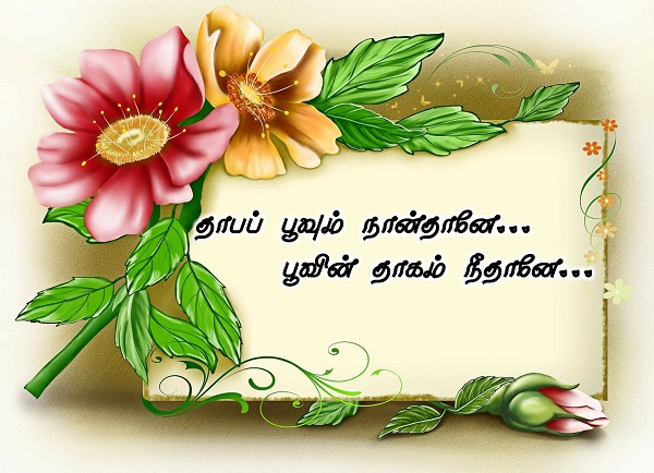 thaaba poovum naan thaane... poovin thagam nee thaane