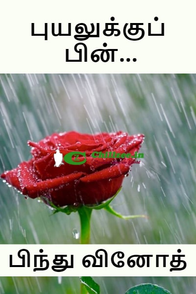 Puyalukku Pin