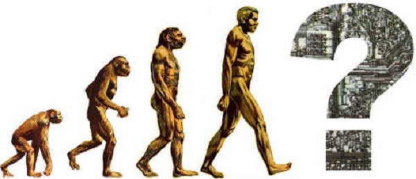 Human Evolution Human Evolution