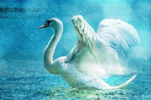 Pozhiyatho anantha suga mazhai Pozhiyatho anantha suga mazhai
