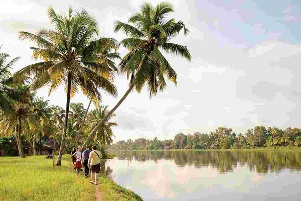 Village Village