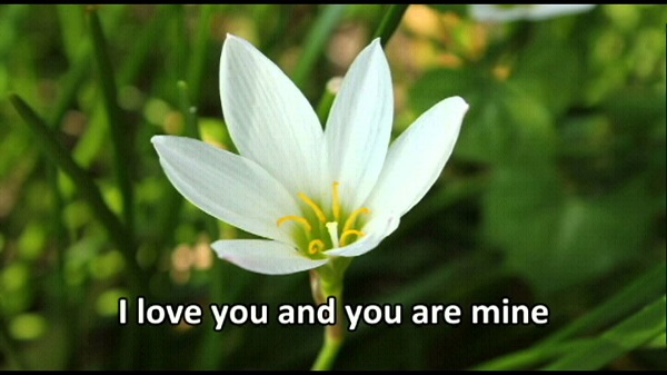 You are mine You are mine