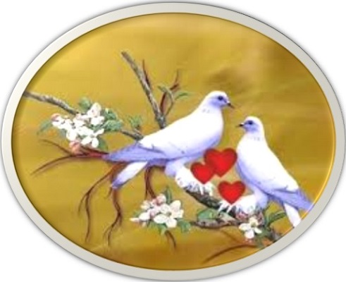Dove