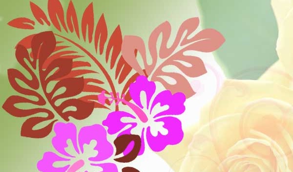flowers flowers