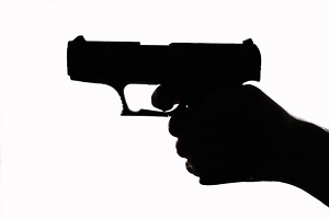 gun