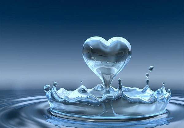 heart heart