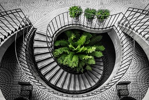 illusion